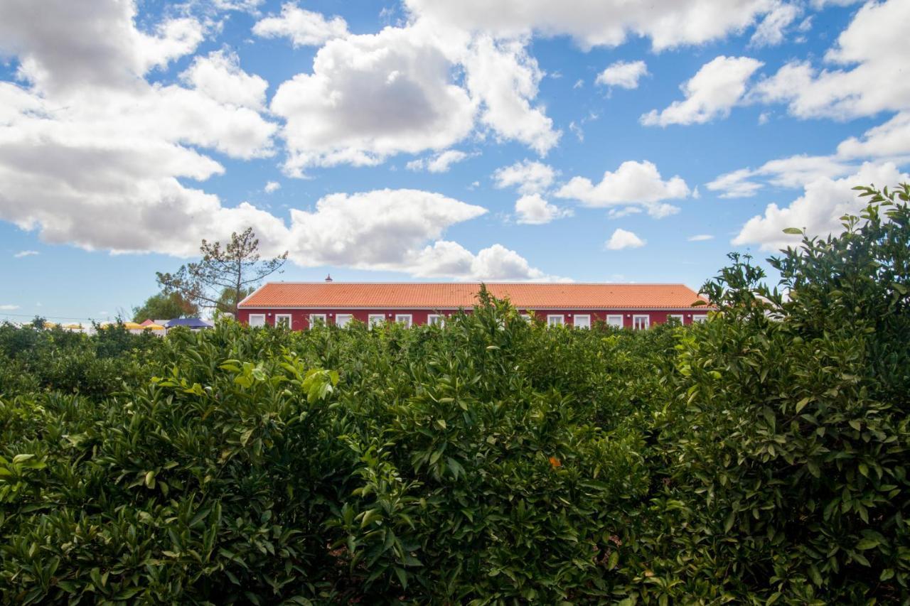 Ferrarias Quinta Dos I'S - Algarve别墅 外观 照片