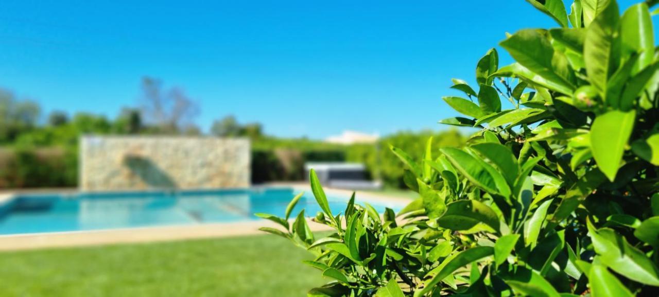 Ferrarias Quinta Dos I'S - Algarve别墅 外观 照片