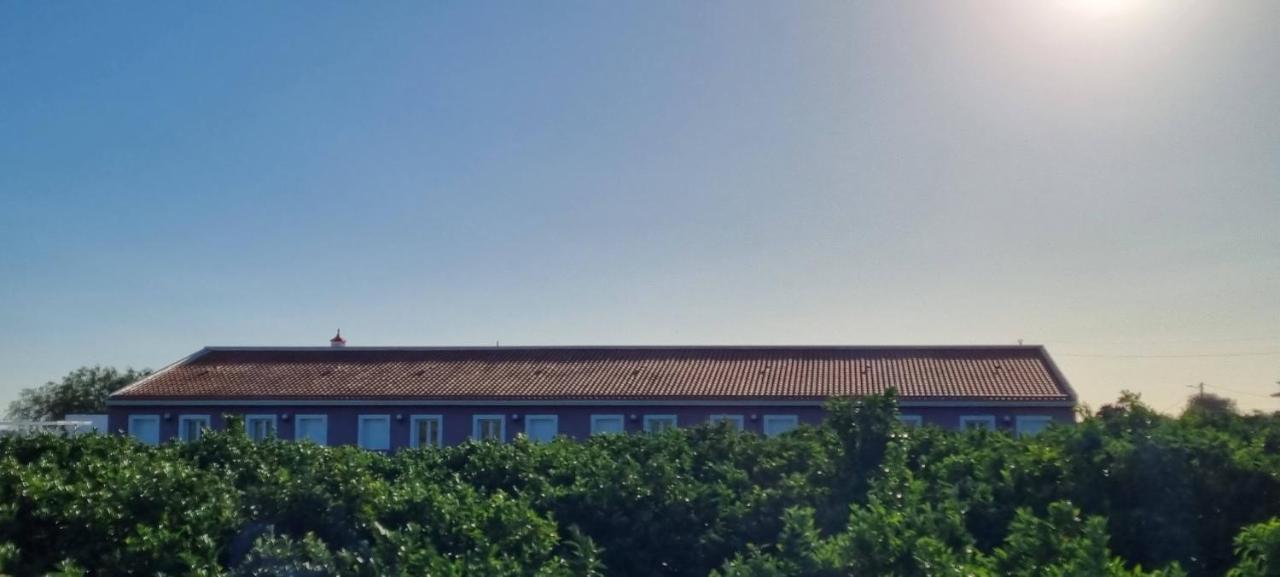 Ferrarias Quinta Dos I'S - Algarve别墅 外观 照片
