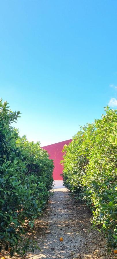 Ferrarias Quinta Dos I'S - Algarve别墅 外观 照片