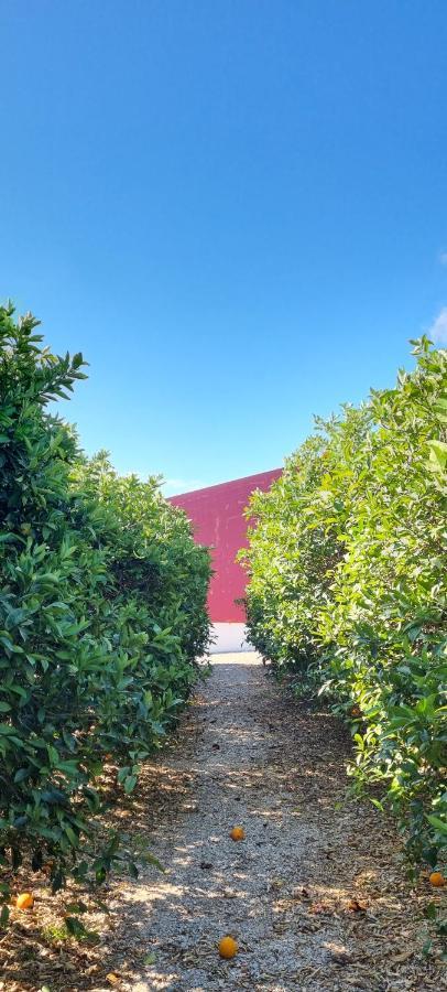 Ferrarias Quinta Dos I'S - Algarve别墅 外观 照片