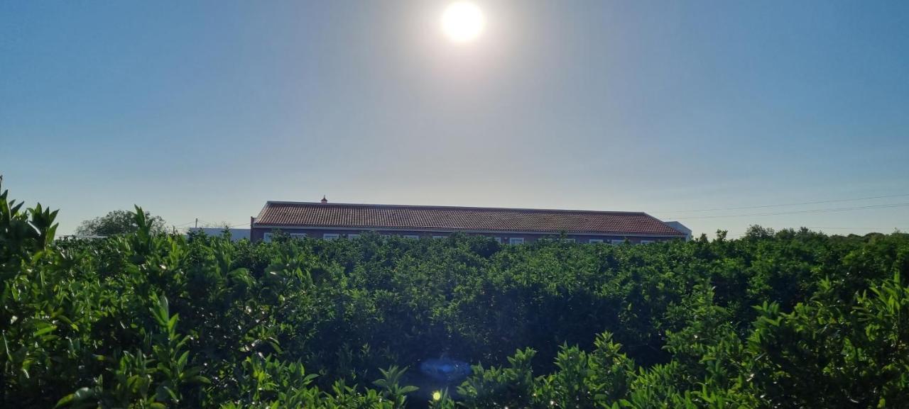 Ferrarias Quinta Dos I'S - Algarve别墅 外观 照片